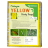 yellow sticky pad pest control 1 Effective Control of Whiteflies: The Impact of Yellow Sticky Traps