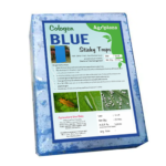 blue sticky pad pest control ipm 1 Home