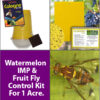 Watermelon fruit fly trap yellow and blue sticky pads