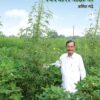 A progressive farmer from Maharashtra standing proudly in his lush green field, symbolizing innovation in agriculture through modern technology.