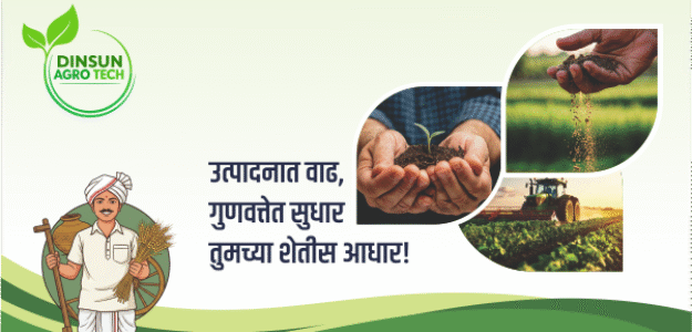 cropped banner 1 Store List